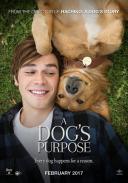 A Dog’s Purpose (2017) Review