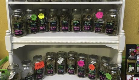 Medical Marijuana being displayed in Oregon, where cannabis is currently legal, though that could change under Donald Trump.