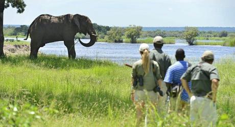 The Best Ever Luxury Safari Tours in Zimbabwe The Best Ever Luxury Safari Tours in Zimbabwe