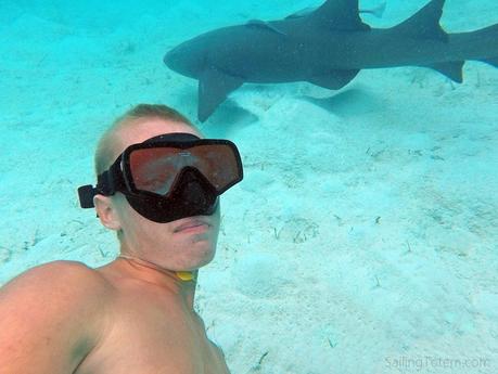 Finding Confidence Cruising Another kind of confidence: shark selfies?!