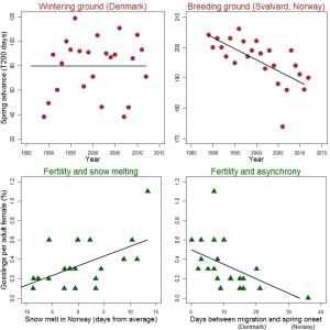 Spring asynchrony in migratory birds Spring asynchrony in migratory birds