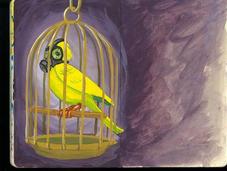 Canaries Coal Mines: Early Warning Signs Abuse