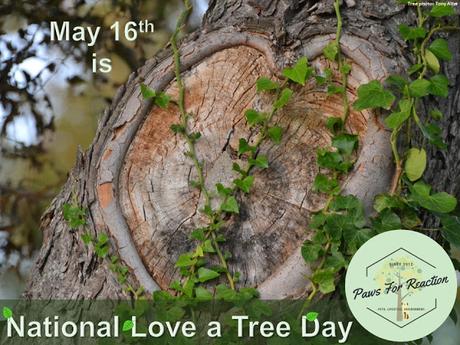 #Plant some #trees on #NationalLoveATreeDay #May16 #TreeEra #Coupon