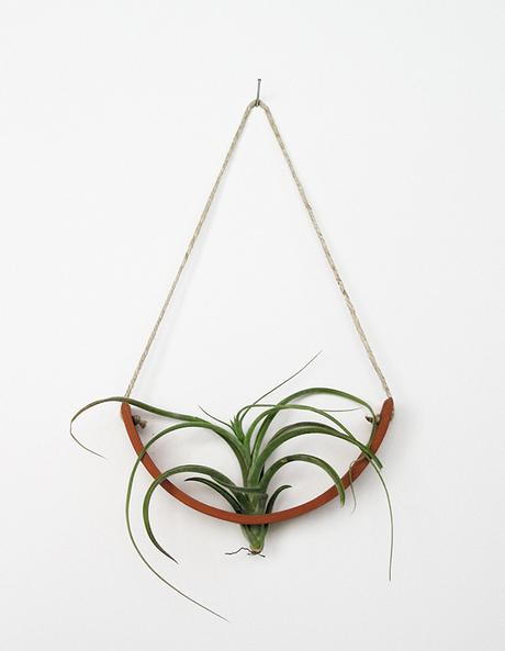 SPOTTING: Terracotta Hanging Air Plant Cradle by mudpuppy
