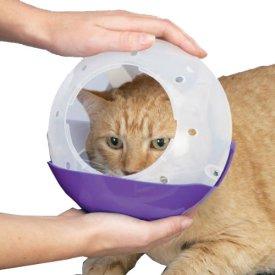 Best Cat Muzzle Reviews May/2017- How to stop a cat from “meowing”? Best Cat Muzzle Reviews May/2017- How to stop a cat from “meowing”?