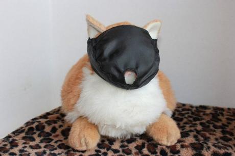 Best Cat Muzzle Reviews May/2017- How to stop a cat from “meowing”? Best Cat Muzzle Reviews May/2017- How to stop a cat from “meowing”?