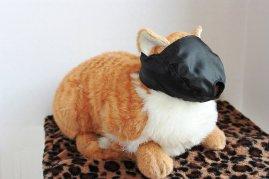 Best Cat Muzzle Reviews May/2017- How to stop a cat from “meowing”? Best Cat Muzzle Reviews May/2017- How to stop a cat from “meowing”?