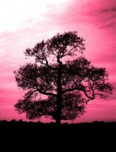 Does God Have The Right To Command Us? Does God Have The Right To Command Us?