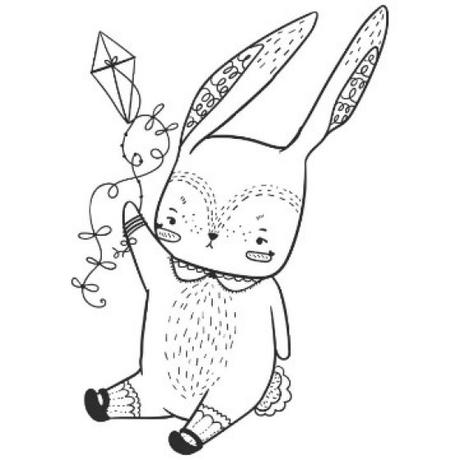 Be a Rabbit Detective – Life Cycle, Biomimicry, Inspiration for Ideas