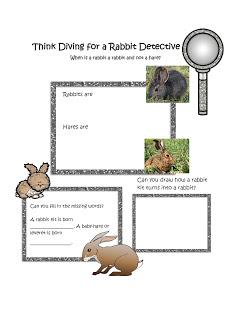 Be a Rabbit Detective – Life Cycle, Biomimicry, Inspiration for Ideas