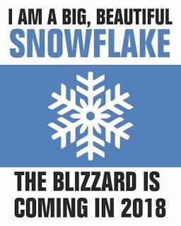Snowflake an insult?