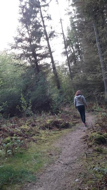 A Wood Walk with Grandson in Scotland...