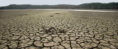 What Happens If the U. S. Exits the Paris Climate Accord? What Happens If the U. S. Exits the Paris Climate Accord?
