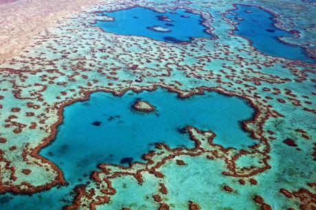 Great Barrier Reef Dead at 25 Million