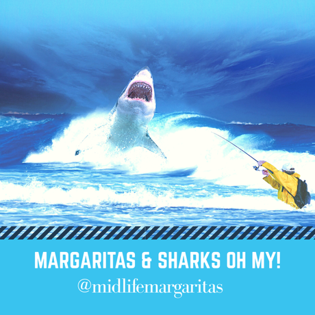 Margaritas, Sharks and Crappy WiFi. This is Vacation Week!