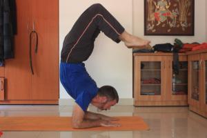 The Thai Yoga Bodywork / Yoga Nexus