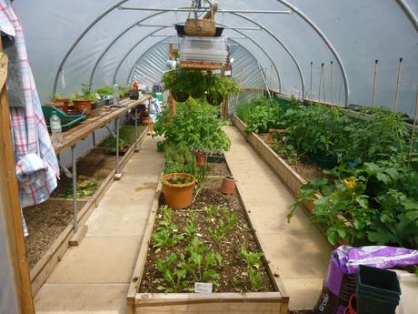 After the Weekend ... Polytunnel Progress