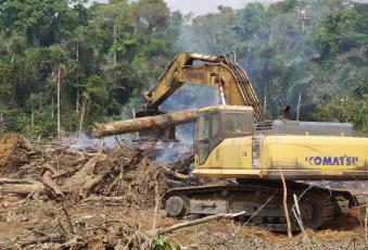 Dangers of the global road-building tsunami Dangers of the global road-building tsunami