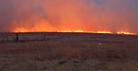 Average Annual Wildfire Number and Size Increasing in the Great Plains
