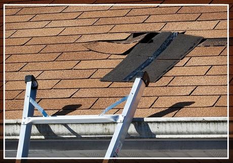 Your Handy Guide For Post-Winter Roof Inspection