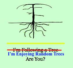 Tree of the Month: Desert “Willow” Tree of the Month: Desert “Willow”