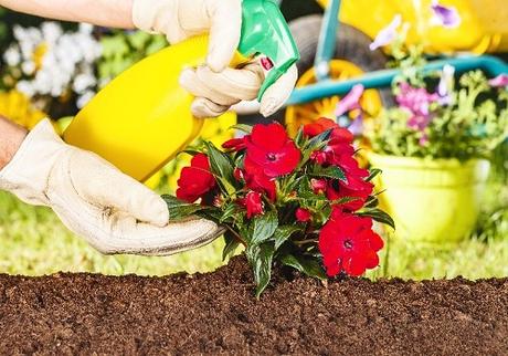 Key Tips On How To Start Your Backyard Landscaping By Yourself Key Tips On How To Start Your Backyard Landscaping By Yourself