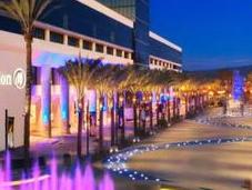 Angeles: Intoxicate Your Soul City Flowers Sunshine!