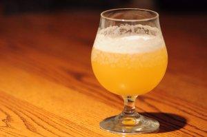 Taste for sour beer may be due to evolution