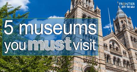 5 Museums You Must Visit 5 Museums You Must Visit