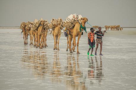 Ethiopia Danakil Depression Tour: Should You Do It? Ethiopia Danakil Depression Tour: Should You Do It?