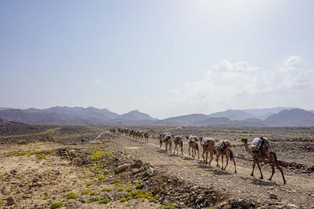 Ethiopia Danakil Depression Tour: Should You Do It? Ethiopia Danakil Depression Tour: Should You Do It?