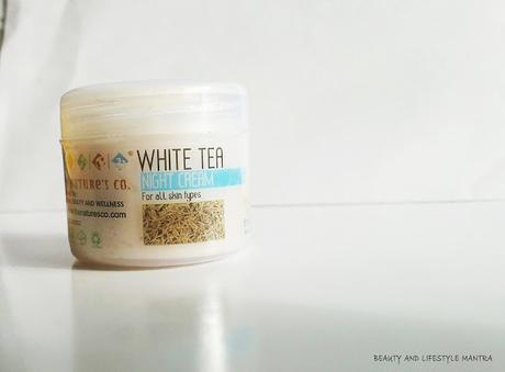 Review // The Natures Co. White Tea Night Cream Review // The Natures Co. White Tea Night Cream