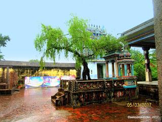 Tirumarugal! Tirumarugal!