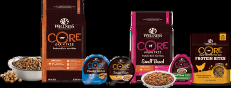 Choose The Best Food For Your Best Friend.Maintain A Healthy Life Of Your Dog. Choose The Best Food For Your Best Friend.Maintain A Healthy Life Of Your Dog.