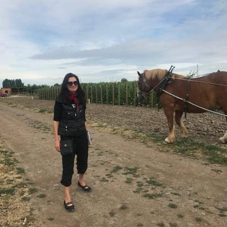Wine Writer Confidential | № 8 Wine Writer Confidential | № 8