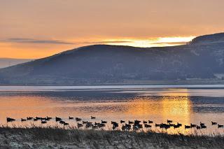 Loch Leven water quality improves at landmark 25-year anniversary