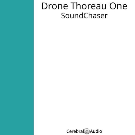 Drone Thoreau One