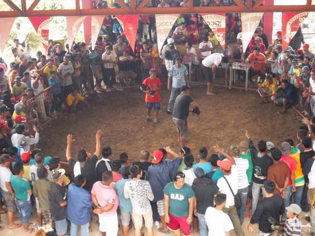 Mt. Mauyog: Scenes, Sounds, and Stories of Cebu’s Highlands Cockfighting