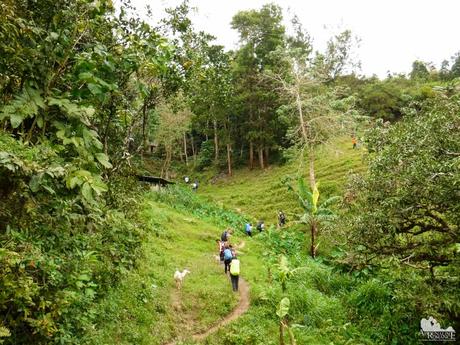 Mt. Mauyog: Scenes, Sounds, and Stories of Cebu’s Highlands Mt. Mauyog