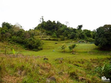 Mt. Mauyog: Scenes, Sounds, and Stories of Cebu’s Highlands Mt. Mauyog