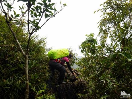 Mt. Mauyog: Scenes, Sounds, and Stories of Cebu’s Highlands Mt. Mauyog