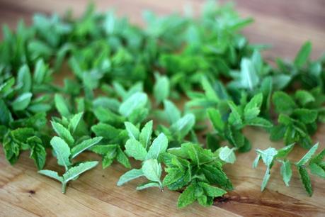 How To Dry Mint Leaves for Tea how to dry mint leaves for tea