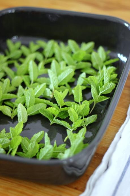 How To Dry Mint Leaves for Tea drying peppermint leaves in the oven