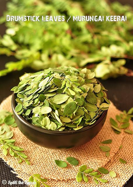 Murungai Keerai Poriyal | Drumstick Leaves Stir Fry Murungai Keerai Poriyal | Drumstick Leaves Stir Fry
