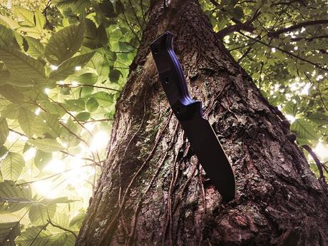 Transforming a neglected forest with a purpose and a blade Picture