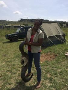Keeping lions from livestock — building fences can save lives Keeping lions from livestock — building fences can save lives