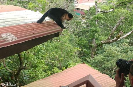 What To Do & Eat In Costa Rica (Monteverde) What To Do & Eat In Costa Rica (Monteverde)