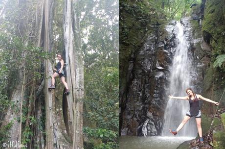 What To Do & Eat In Costa Rica (Monteverde) What To Do & Eat In Costa Rica (Monteverde)