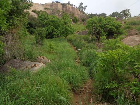 148) Kabbaldurga trek – Hollow streak: (11/6/2017) 148) Kabbaldurga trek – Hollow streak: (11/6/2017)