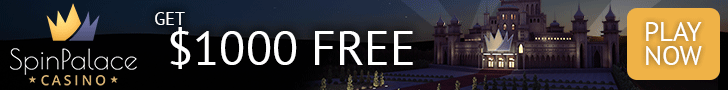 Profit Opportunities and Payout Rates for Online Gambling Machines Spin Palace Casino